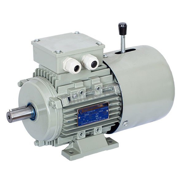 Động cơ phanh thắng 7.5kw 10HP